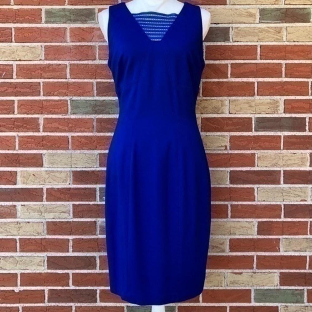 Cynthia Steffe Sleeveless Blue Sheath Dress 👗